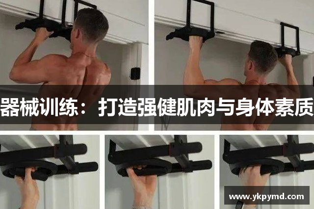 器械训练：打造强健肌肉与身体素质
